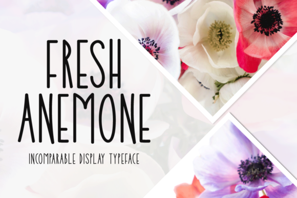 Fresh Anemone Font for Business
