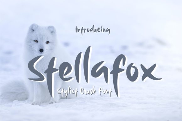 Stellafox Font for Editorial Design